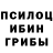Галлюциногенные грибы мицелий ANSUL TOPPO