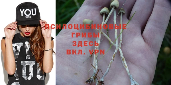 spice Коряжма